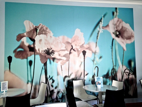 IMG_3358.JPG So Sweet Cake Shop, Loulé