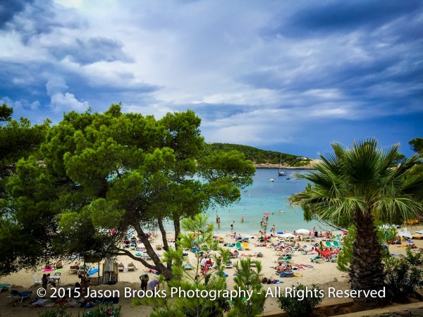 IMG_5741.jpg IMG 5741