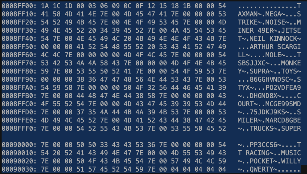 A hex dump of the cartridge showing clear text password strings used in the game.